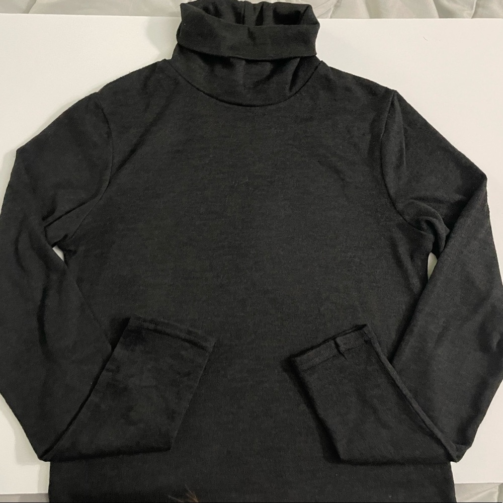 Zara Turtle Neck